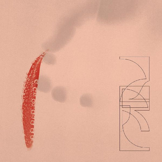 ZRL - Our Savings ( VINYL LP )